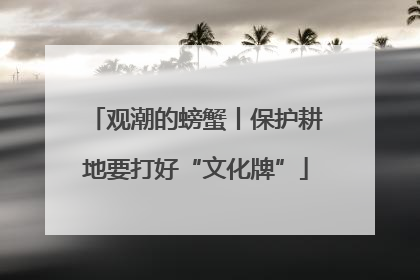 观潮的螃蟹丨保护耕地要打好“文化牌”