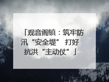 观音阁镇：筑牢防汛“安全堤” 打好抗洪“主动仗”
