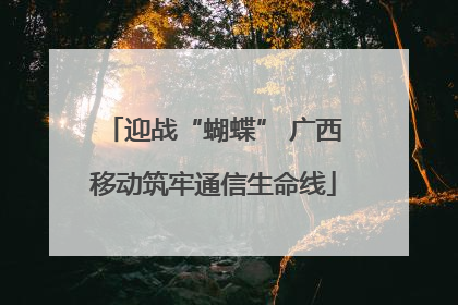 迎战“蝴蝶” 广西移动筑牢通信生命线