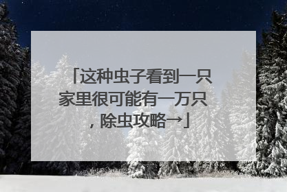 这种虫子看到一只家里很可能有一万只，除虫攻略→