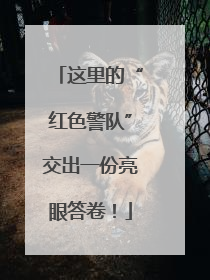 这里的“红色警队”交出一份亮眼答卷！