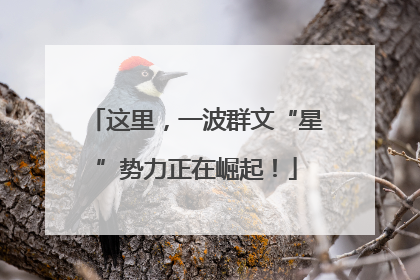 这里，一波群文“星”势力正在崛起！