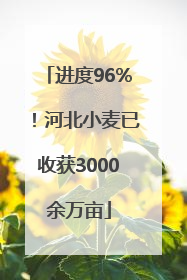 进度96%！河北小麦已收获3000余万亩