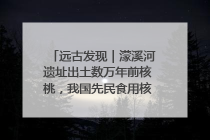 远古发现｜濛溪河遗址出土数万年前核桃，我国先民食用核桃历史大幅提前