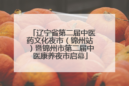 辽宁省第二届中医药文化夜市（锦州站）暨锦州市第二届中医康养夜市启幕