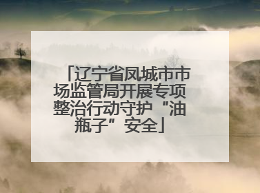 辽宁省凤城市市场监管局开展专项整治行动守护“油瓶子”安全