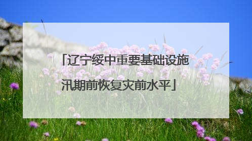 辽宁绥中重要基础设施汛期前恢复灾前水平