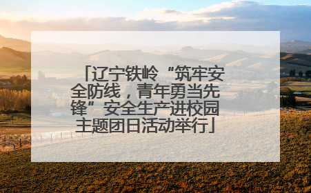 辽宁铁岭“筑牢安全防线，青年勇当先锋”安全生产进校园主题团日活动举行
