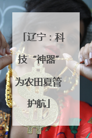 辽宁：科技“神器”为农田夏管护航