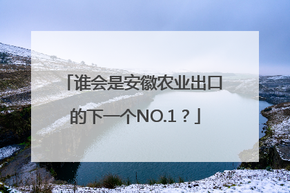 谁会是安徽农业出口的下一个NO.1？