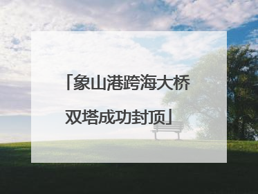 象山港跨海大桥双塔成功封顶