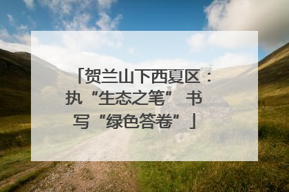 贺兰山下西夏区：执“生态之笔” 书写“绿色答卷”