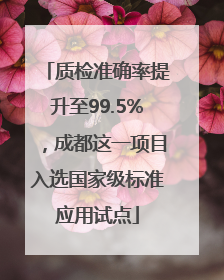 质检准确率提升至99.5%，成都这一项目入选国家级标准应用试点