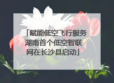 赋能低空飞行服务 湖南首个低空智联网在长沙县启动