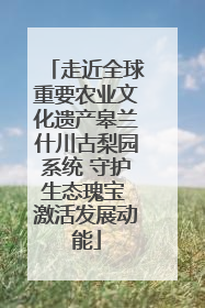 走近全球重要农业文化遗产皋兰什川古梨园系统 守护生态瑰宝 激活发展动能