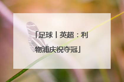 足球丨英超：利物浦庆祝夺冠