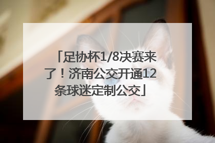 足协杯1/8决赛来了！济南公交开通12条球迷定制公交