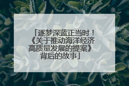 逐梦深蓝正当时！《关于推动海洋经济高质量发展的提案》背后的故事