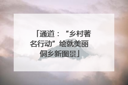 通道：“乡村著名行动”绘就美丽侗乡新图景