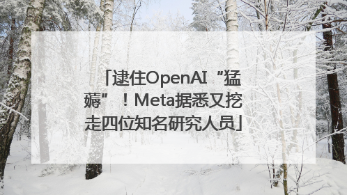 逮住OpenAI“猛薅”！Meta据悉又挖走四位知名研究人员