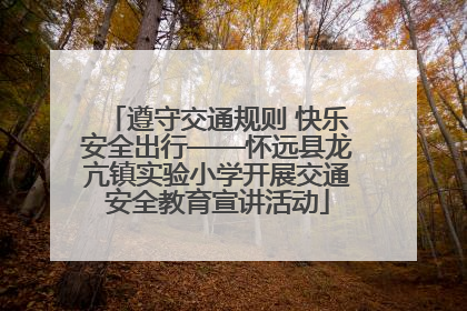 遵守交通规则 快乐安全出行——怀远县龙亢镇实验小学开展交通安全教育宣讲活动