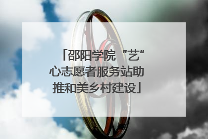 邵阳学院“艺”心志愿者服务站助推和美乡村建设