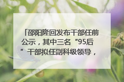 邵阳隆回发布干部任前公示，其中三名“95后”干部拟任副科级领导，均系硕士选调生
