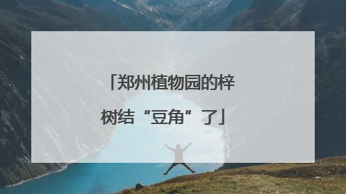 郑州植物园的梓树结“豆角”了