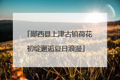 郧西县上津古镇荷花初绽邂逅夏日浪漫
