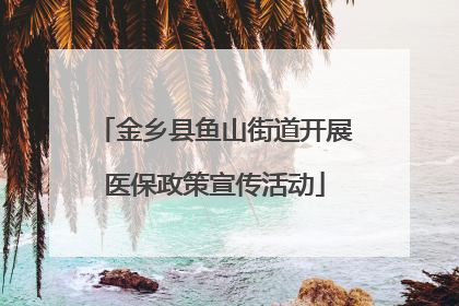 金乡县鱼山街道开展医保政策宣传活动