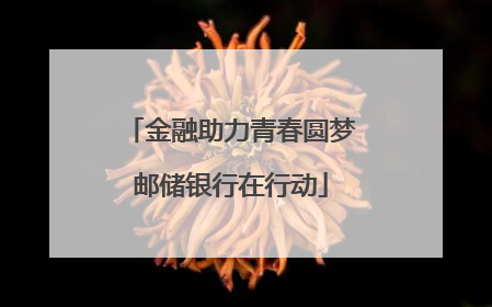 金融助力青春圆梦邮储银行在行动