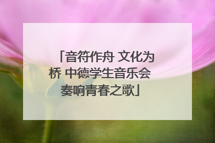 音符作舟 文化为桥 中德学生音乐会奏响青春之歌