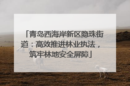 青岛西海岸新区隐珠街道：高效推进林业执法，筑牢林地安全屏障