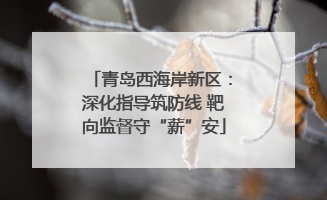 青岛西海岸新区：深化指导筑防线 靶向监督守“薪”安