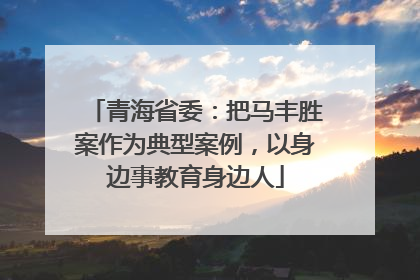 青海省委：把马丰胜案作为典型案例，以身边事教育身边人