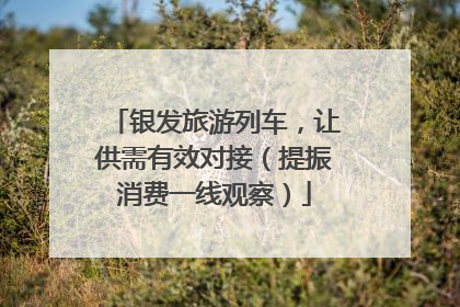 银发旅游列车，让供需有效对接（提振消费一线观察）