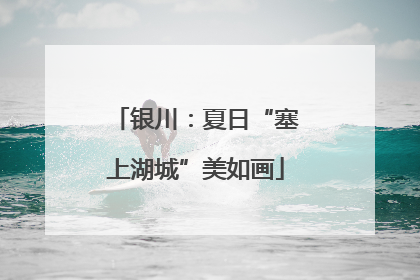 银川：夏日“塞上湖城”美如画