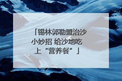 锡林郭勒盟治沙小妙招 给沙地吃上“营养餐”