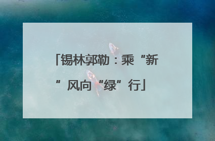锡林郭勒：乘“新”风向“绿”行