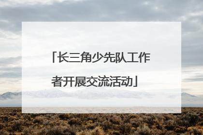 长三角少先队工作者开展交流活动