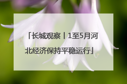 长城观察丨1至5月河北经济保持平稳运行