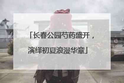 长春公园芍药盛开，演绎初夏浪漫华章