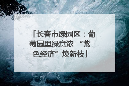 长春市绿园区：葡萄园里绿意浓 “紫色经济”焕新枝