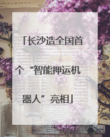 长沙造全国首个“智能押运机器人”亮相