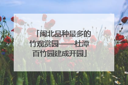 闽北品种最多的竹观赏园——杜潭百竹园建成开园