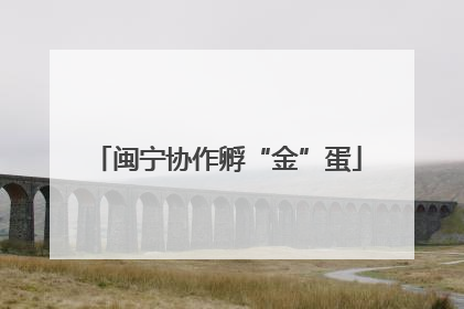 闽宁协作孵“金”蛋
