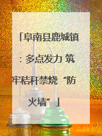 阜南县鹿城镇：多点发力 筑牢秸秆禁烧“防火墙”
