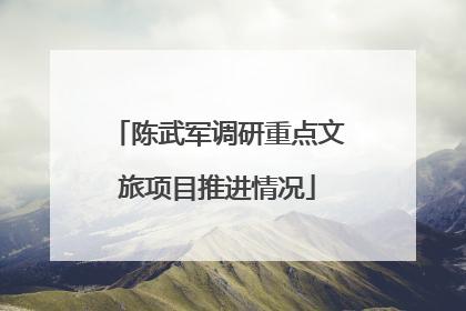 陈武军调研重点文旅项目推进情况