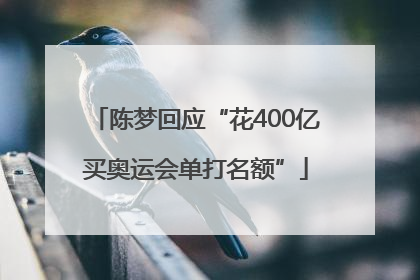 陈梦回应“花400亿买奥运会单打名额”