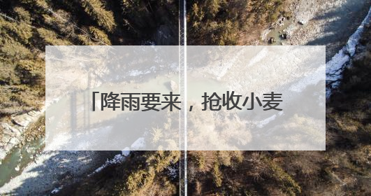 降雨要来，抢收小麦开启“倍速模式”